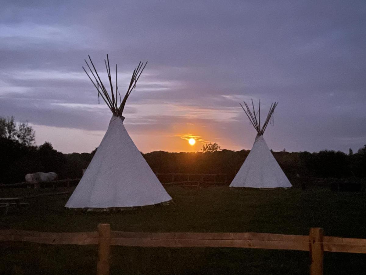 Terra-Tipike, Tipi A La Ferme Entre Terre Et Mer Trébry Dış mekan fotoğraf